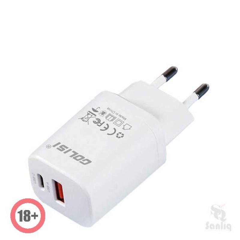 Golisi GL-B04 Netzstecker 33W