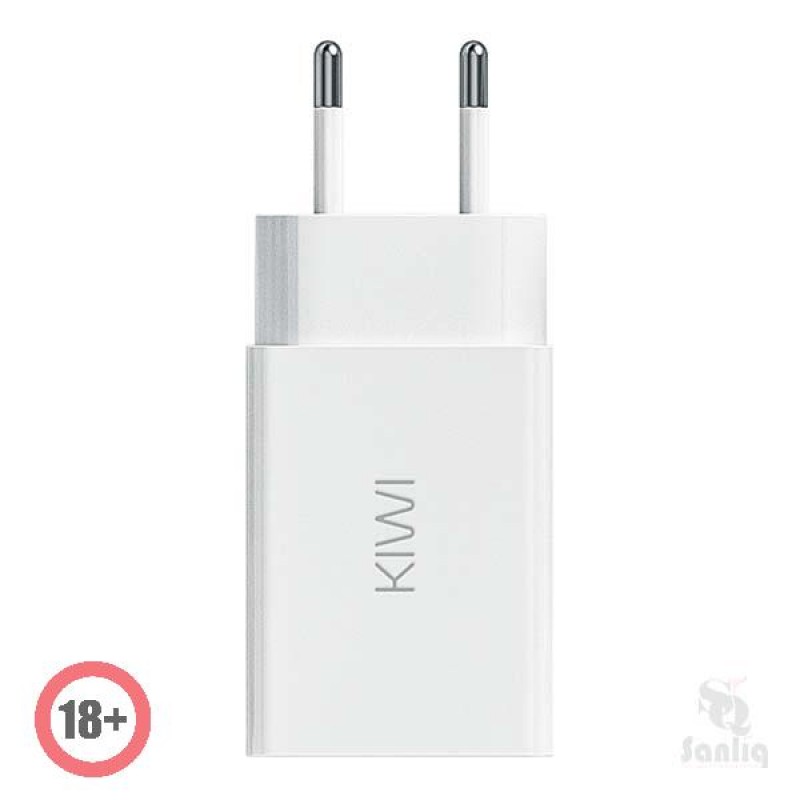 KIWI USB Charger - Netzadapter 2A
