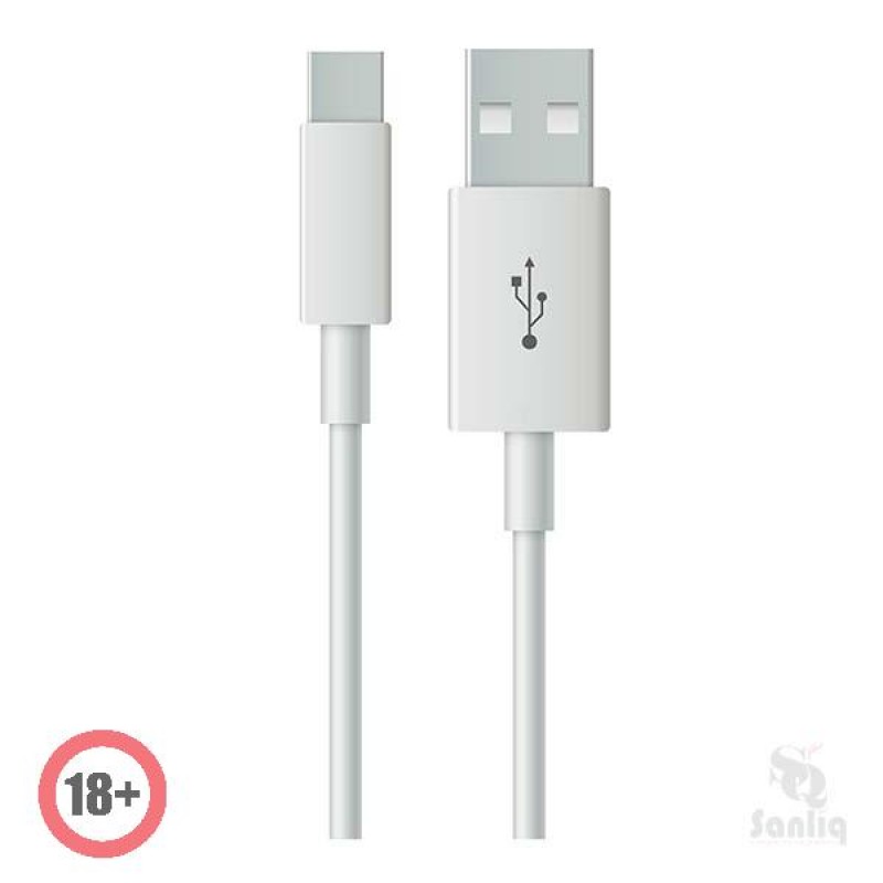KIWI USB Typ C Kabel